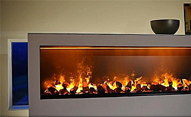 How to choose an electric fireplace for an apartment and a house with a 3D effect of live fire