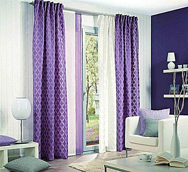 Design von Vorhängen in lila - Farbmerkmale, Kombinationen, nützliche Tipps