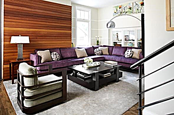 Purple sofas