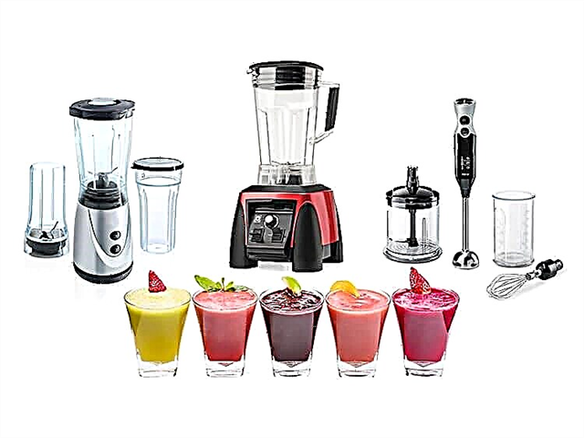 What is the difference between a blender and a mixer: description of functions, photo