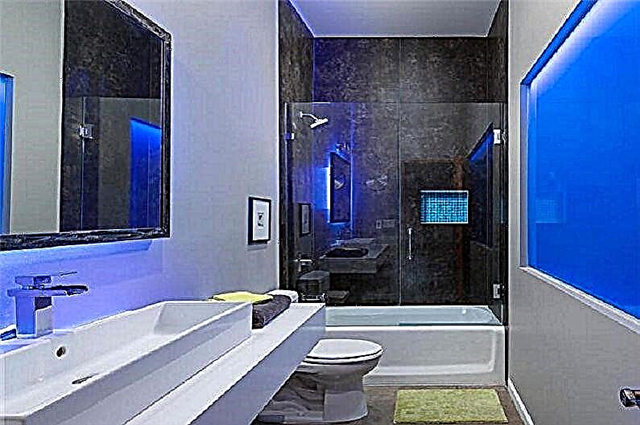 Carrelage bleu pour la salle de bain: avantages et inconvénients, variétés, choix, exemples