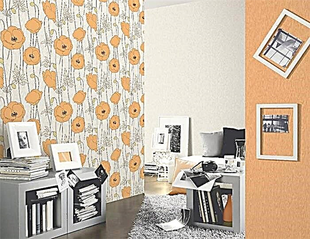 Mayakprint Wallcoverings: An Overview of Design Collections
