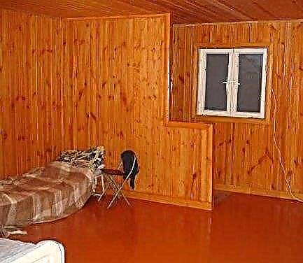 Why pine lining is good and its difference from hardwood panels