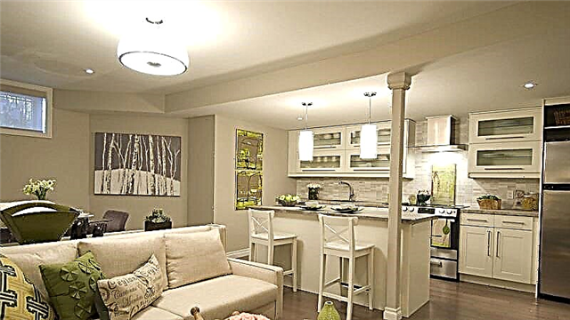 Opciones de diseño para una pequeña cocina-sala de estar
