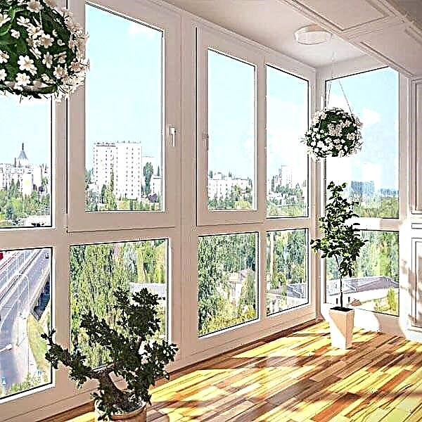 Panoramisk balkonvindue, fordele og ulemper