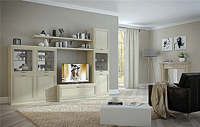 Living room interior in beige color.