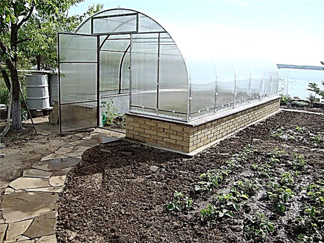 Do-it-yourself greenhouse - choice of construction and materials, stages of construction and installation tips (70 photos)