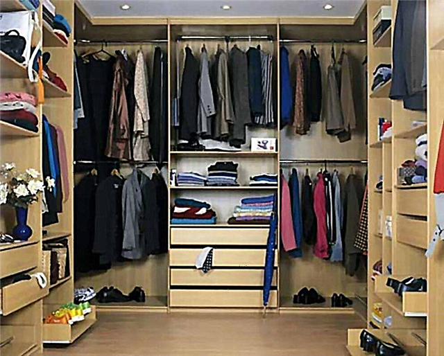 Types of filling cabinets and walk-in closets, the main elements