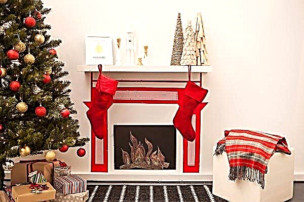 Do-it-yourself Cardboard Fireplace (90 fotek): Simulace krok za krokem