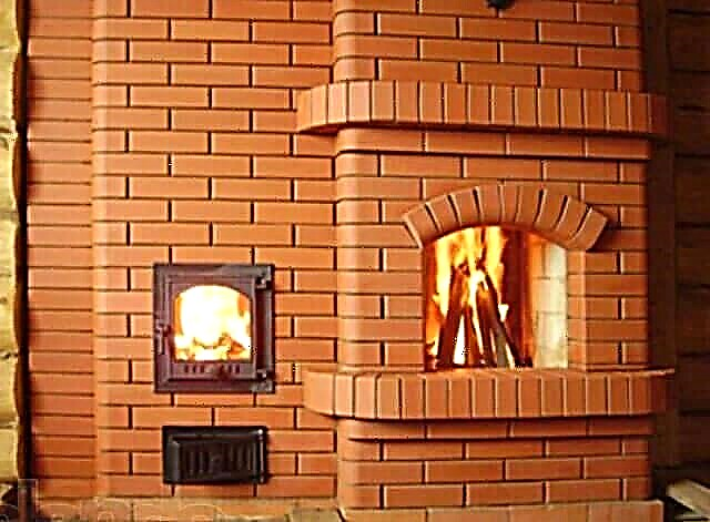 Wood-burning stoves for a bath: types and features