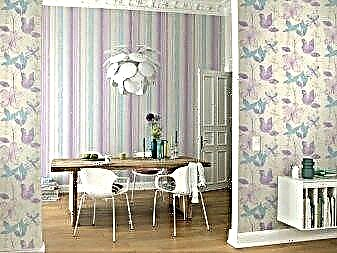 German Rasch wallpapers: features and models
